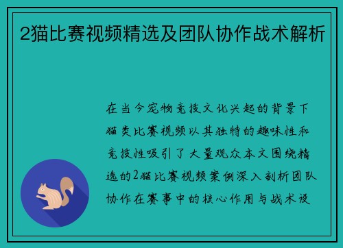 2猫比赛视频精选及团队协作战术解析