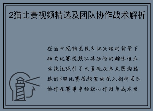 2猫比赛视频精选及团队协作战术解析